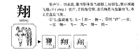 翔的五行|翔字的五行属什么